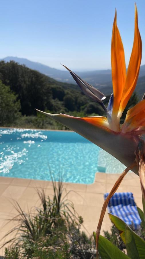 Villa U Tramontu Granace Kültér fotó