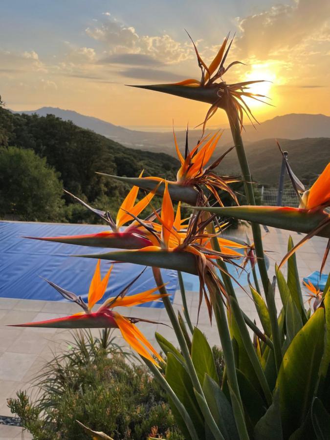 Villa U Tramontu Granace Kültér fotó